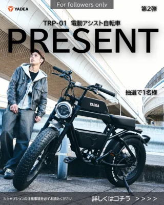 YADEA 電動アシスト自転車 YADEA ヤディア yadea 電動自転車 電動アシスト自転車